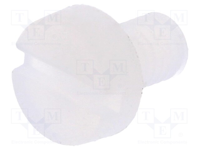 Screw; M3x5; 0.5; Head: cheese head; slotted; 0,9mm; polyamide