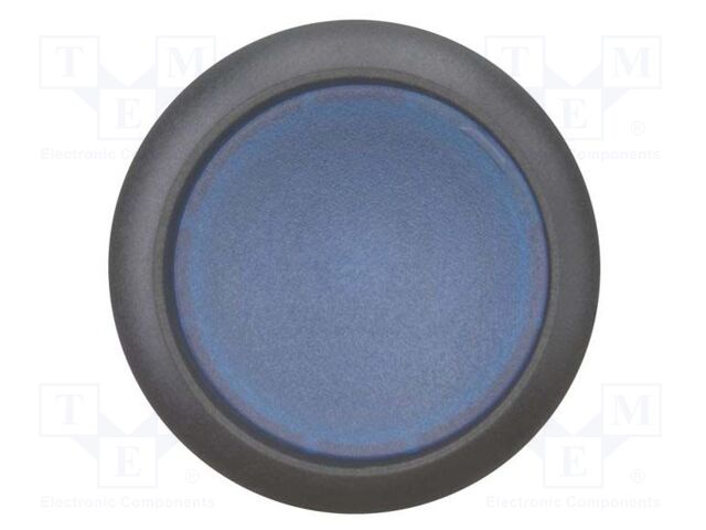 Switch: push-button; Stabl.pos: 2; 22mm; blue; IP67; Pos: 2; Ø22.5mm