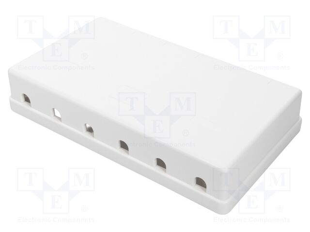 Case; Keystone; white; Number of ports: 6; Enclos.mat: ABS