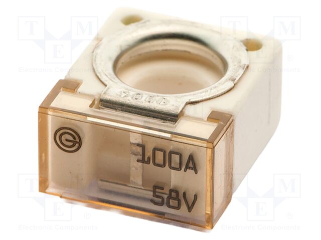Fuse: fuse; 100A; 58VDC; ceramic,automotive; 20x23.5x11.8mm