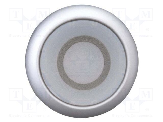 Switch: push-button; Stabl.pos: 2; 22mm; white; IP67; Pos: 2; Ø22.5mm