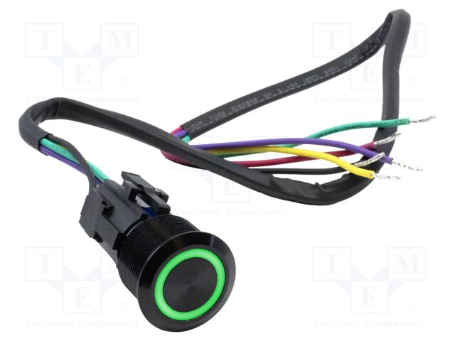 Switch: vandal resistant; SPDT; 3A/250VAC; IP67; ON-ON; green; 24V