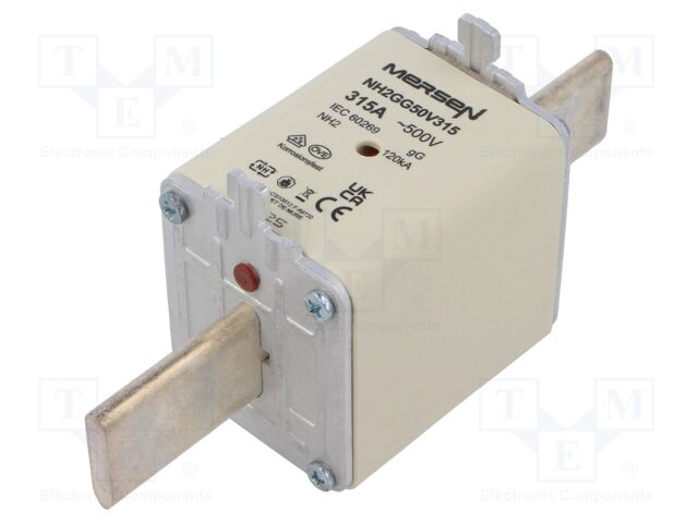Fuse: fuse; gG; 315A; 500VAC; 250VDC; ceramic,industrial; NH2