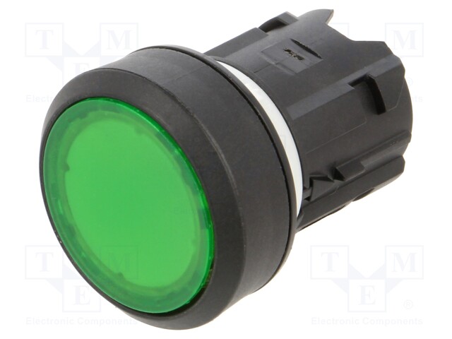 ACTUATOR, ILLUMINATED PUSHBUTTON SWITCH