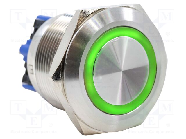 Switch: vandal resistant; DPST-NO + DPST-NC; 2A/48VDC; IP65; 24V