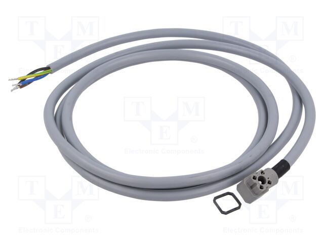 Connector: rectangular; G; plug; female; PIN: 4; IP65; grey; 50V; 10A