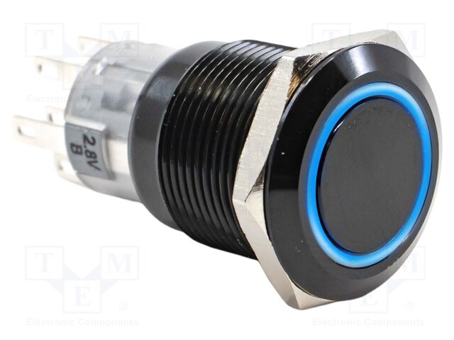 Switch: vandal resistant; DPDT; 2A/24VDC; IP67; ON-(ON); blue; 12V