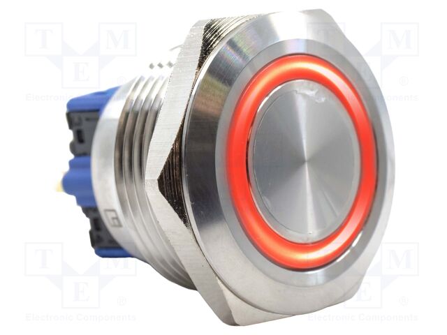 Switch: vandal resistant; DPST-NO + DPST-NC; 2A/48VDC; IP65; 6V