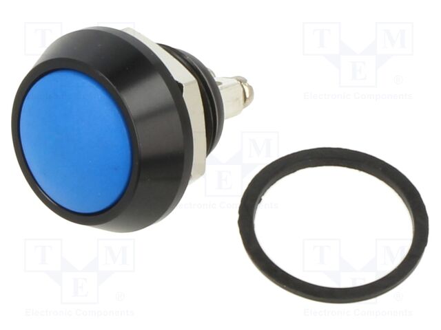 Switch: vandal resistant; Pos: 2; SPST-NO; 5A/24VDC; IP65; OFF-(ON)