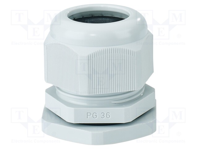 Cable gland; PG36; IP65; polyamide; light grey