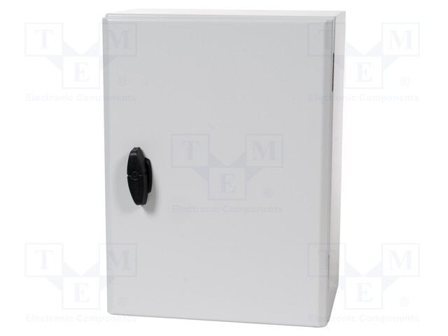 Enclosure: wall mounting; X: 300mm; Y: 400mm; Z: 200mm; S3DEX; steel