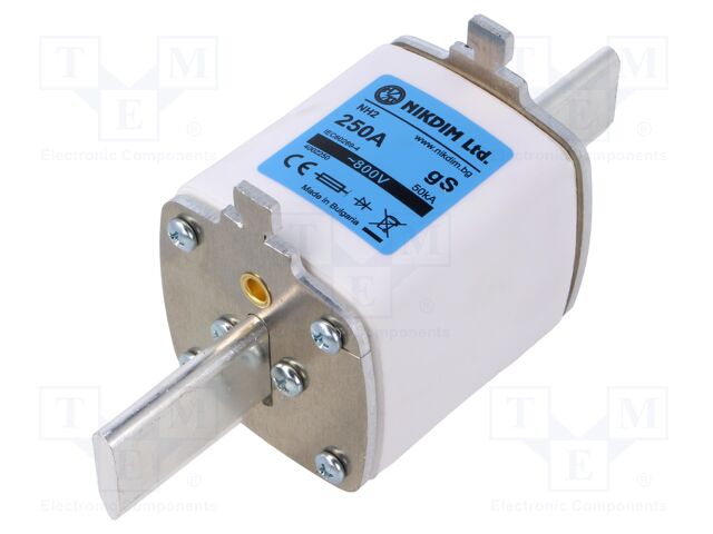 Fuse: fuse; 250A; 800VAC; gS; industrial; NH2