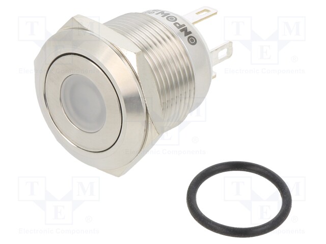 Switch: vandal resistant; Pos: 2; SPST-NO; 0.5A/220VAC; 2A/36VDC