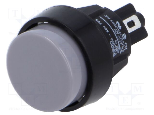 Switch: push-button; Pos: 2; SPST-NO; 2A/250VAC; 4A/250VAC; IP40