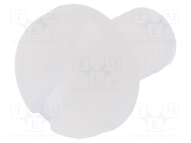 Screw; M3x5; 0.5; Head: cheese head; slotted; 0,9mm; polyamide