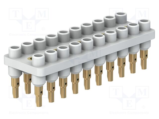 Socket strip; 2mm banana; white; 70VDC; 10A; 33VAC; Sockets: 20