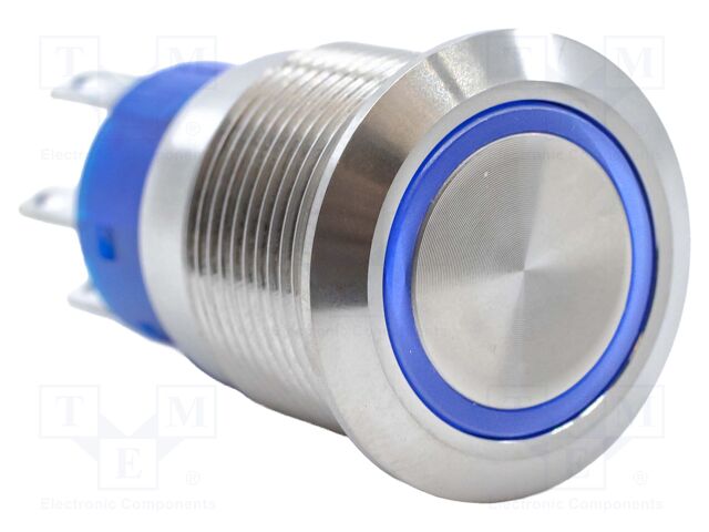 VANDAL RESISTANT SWITCH, DPDT, 3A, 250V