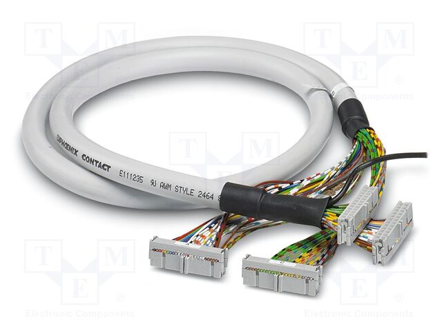 Ribbon cable with IDC connectors; IDC/FLK 2x24pin,both sides