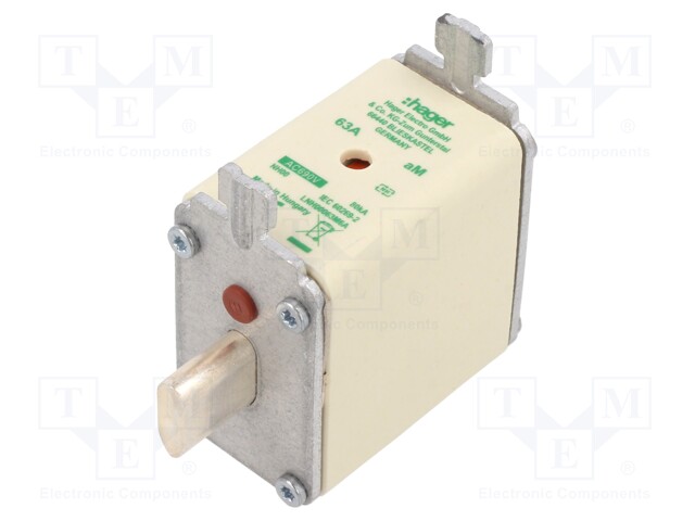 Fuse: fuse; aM; 63A; 690VAC; industrial; NH00