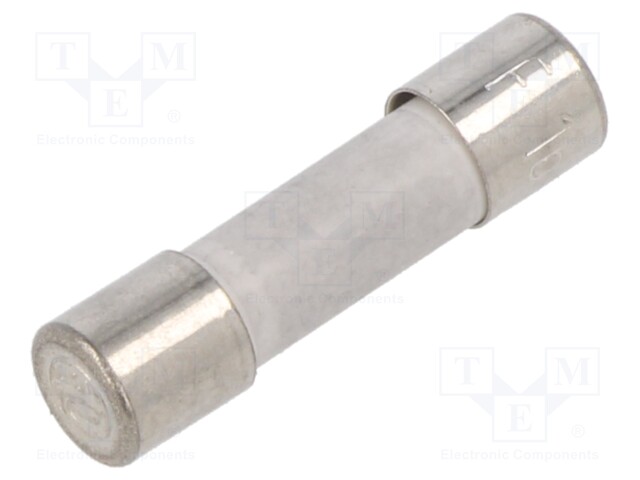 Fuse: fuse; quick blow; 16A; 250VAC