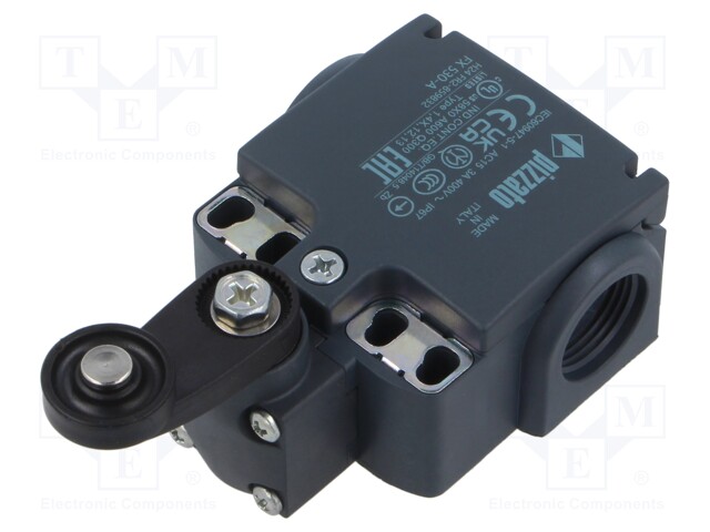 Limit switch