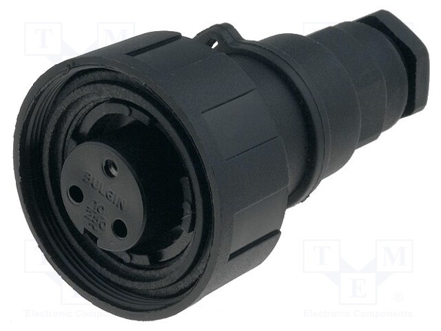 Connector: circular; plug; female; PIN: 3; Buccaneer Standard; IP68