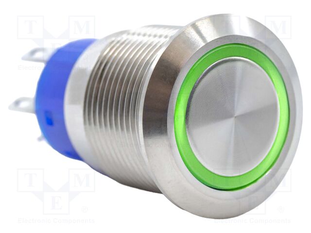 Switch: vandal resistant; Pos: 2; SPDT; 3A/250VAC; IP67; ON-(ON)