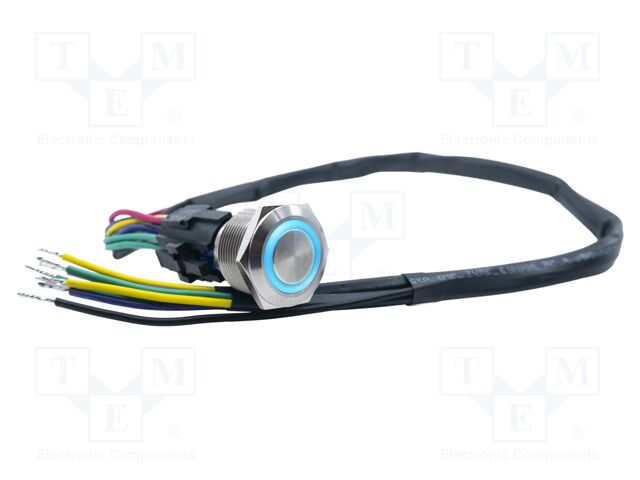 Switch: vandal resistant; DPDT; 3A/250VAC; IP67; ON-(ON); blue; 24V