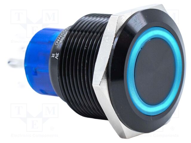 Switch: vandal resistant; Pos: 2; DPDT; 3A/250VAC; IP67; ON-(ON)
