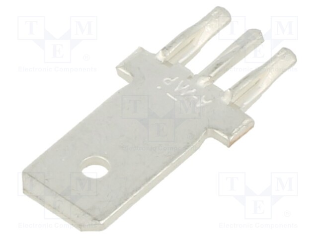 Terminal: flat; 6.3mm; 0.8mm; male; THT; phosphor bronze; straight