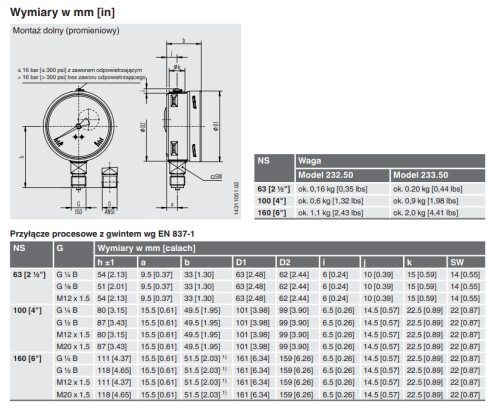Manometer; 0÷400bar; Class: 1; 100mm; -20÷60°C; IP65; 233.50