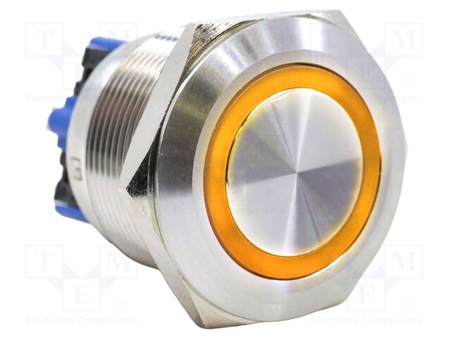 Switch: vandal resistant; DPST-NO + DPST-NC; 2A/48VDC; IP65; 6V