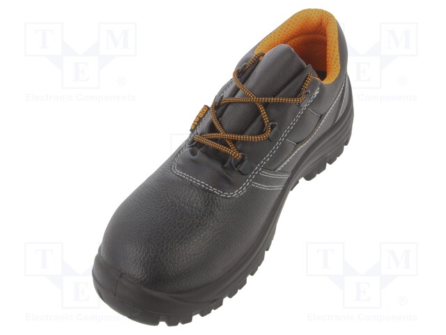 Shoes; Size: 43