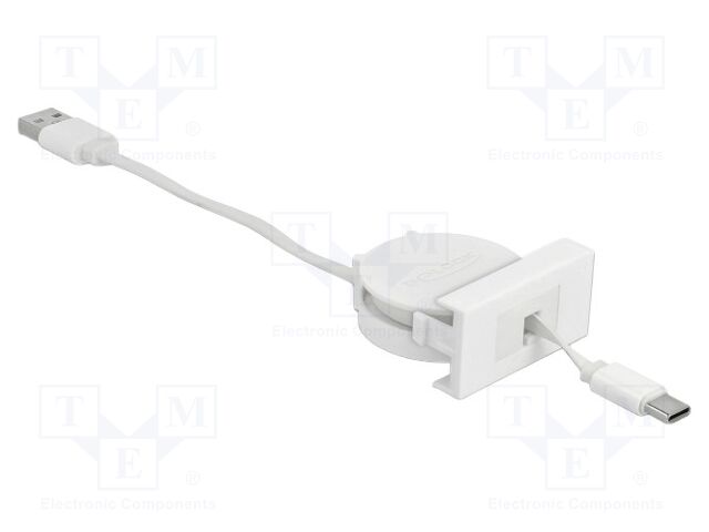 USB module; Easy 45; USB A plug,USB C plug; USB 2.0,rolled; 2A