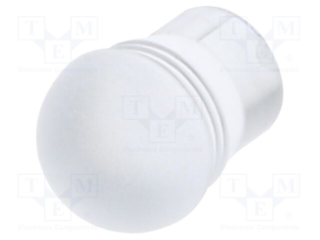 Fiber for LED; round; Ø5.2mm; Front: convex; straight; IP68