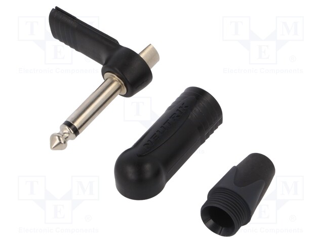 "R/A 1/4"" 2POLE PLUG"