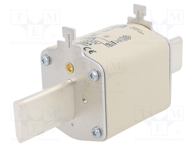 Fuse: fuse; gG; 200A; 500VAC; ceramic,industrial; NH2; WT-NH