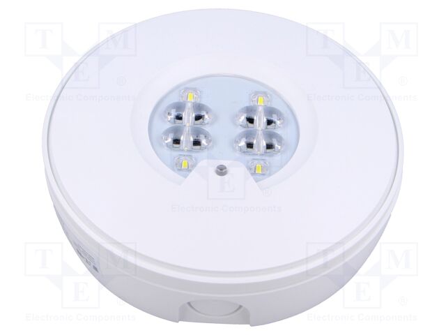 Lamp: LED emergency luminaire