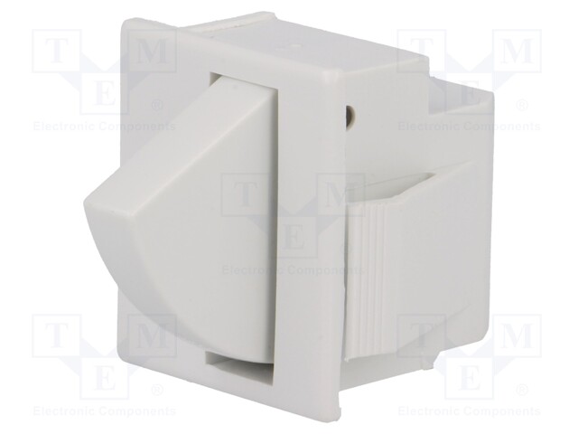 Switch: door; Pos: 2; SPDT; 5A/250VAC; Leads: 4,8x0,5mm connectors