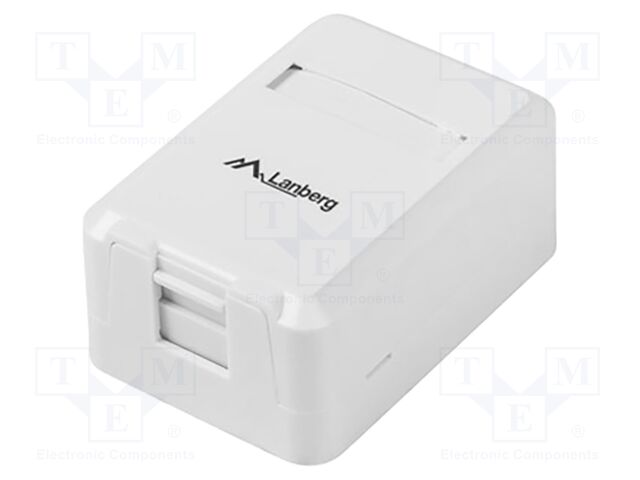 Wall socket; white; wall mount; Enclos.mat: ABS; 60.1x42.1x26.4mm