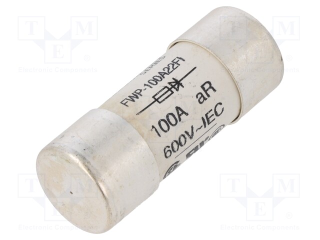 Fuse: fuse; quick blow; 100A; 690VAC; 22.2x58mm