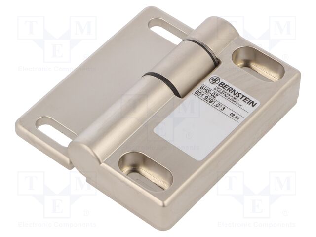 Safety switch: hinged; IP67; 225°