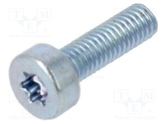 Screw; M10x5.5; 0.5; Head: cheese head; Torx®; TX10; steel; zinc