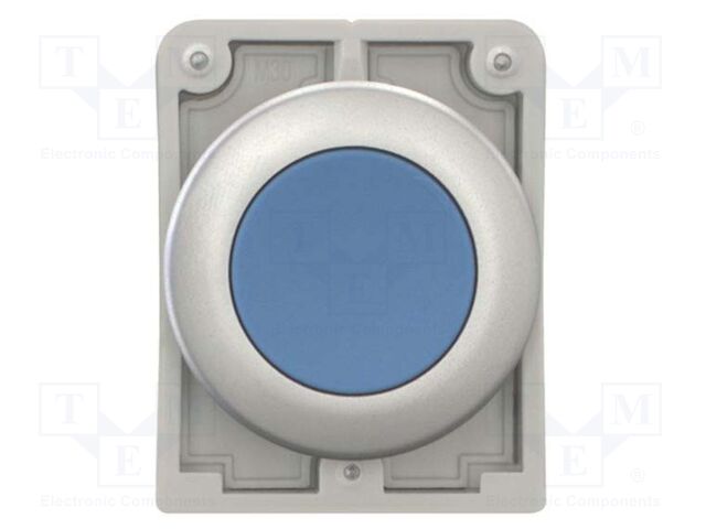 Switch: push-button; Stabl.pos: 2; 30mm; blue; none; IP67; Pos: 2