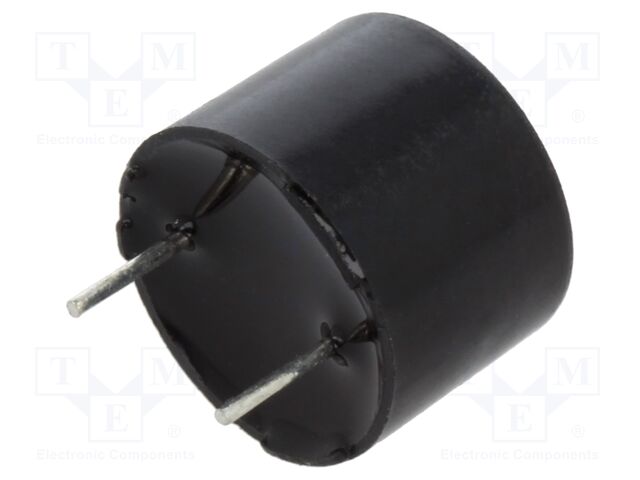 Sound transducer: electromagnetic; without built-in generator