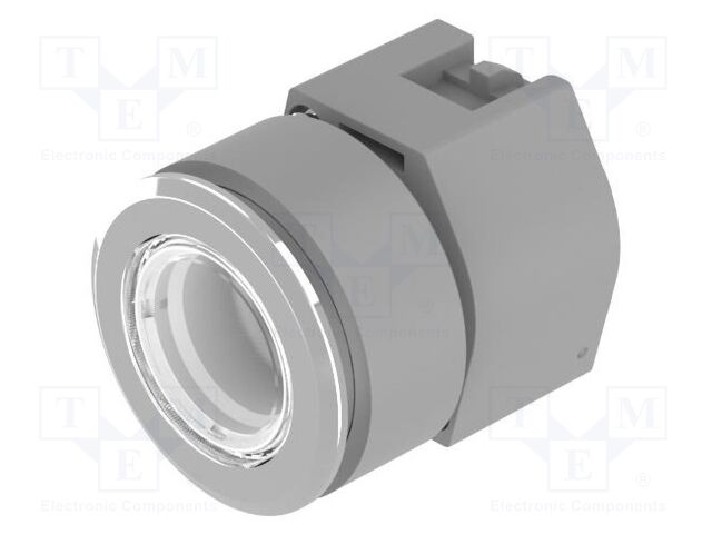 Switch: push-button; 30mm; Stabl.pos: 2; colourless; none; IP65