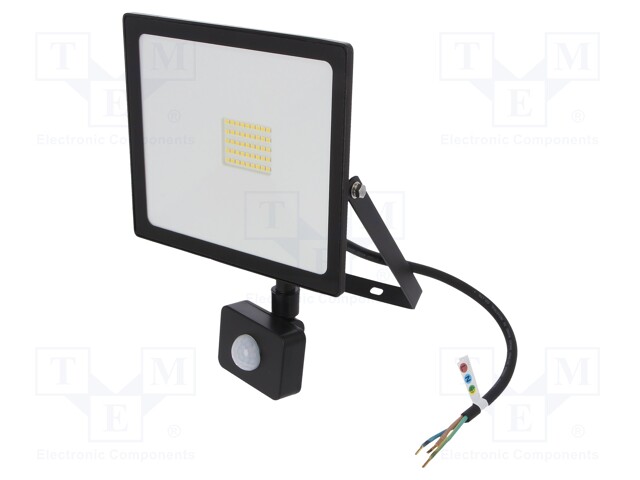 Lamp: LED flood light; 4000(typ)K; IP44; Body: black; 30W; 230VAC