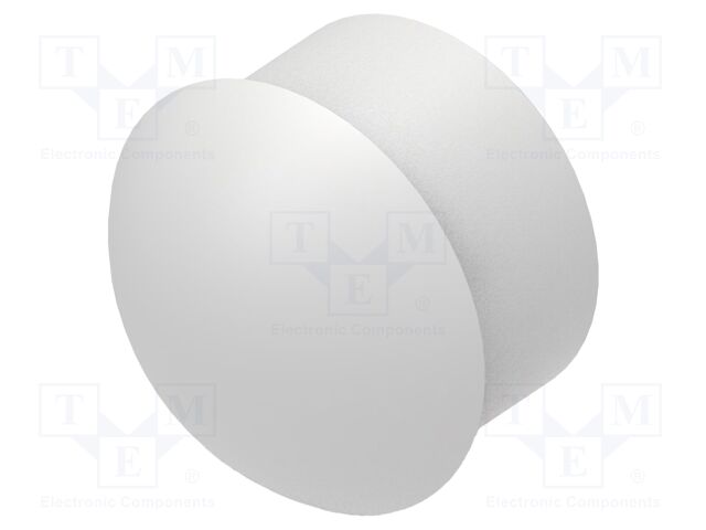 Stopper; polyamide; light grey; L: 20.2mm; -20÷100°C; Entrelec