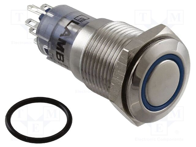 Switch: vandal resistant; Pos: 2; DPDT; 2A/48VDC; IP67; ON-(ON)