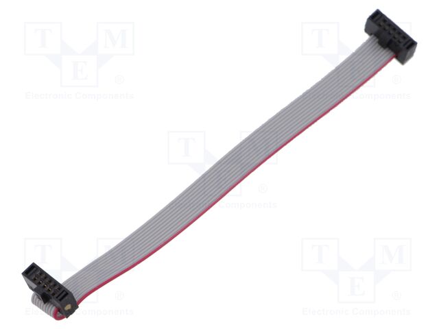 Ribbon cable with IDC connectors; Tape ph: 0.64mm; 101.6mm